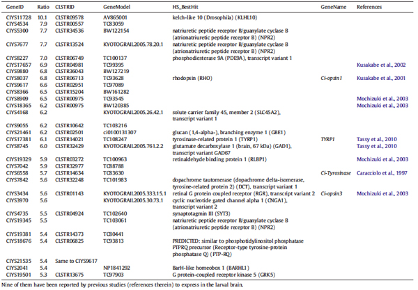 table1