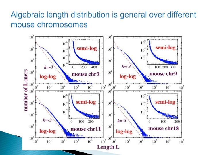 Slide10