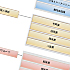 organization chart organization chart