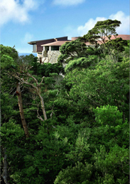 A view of the Lab Zone on the hill taken from below at the base.